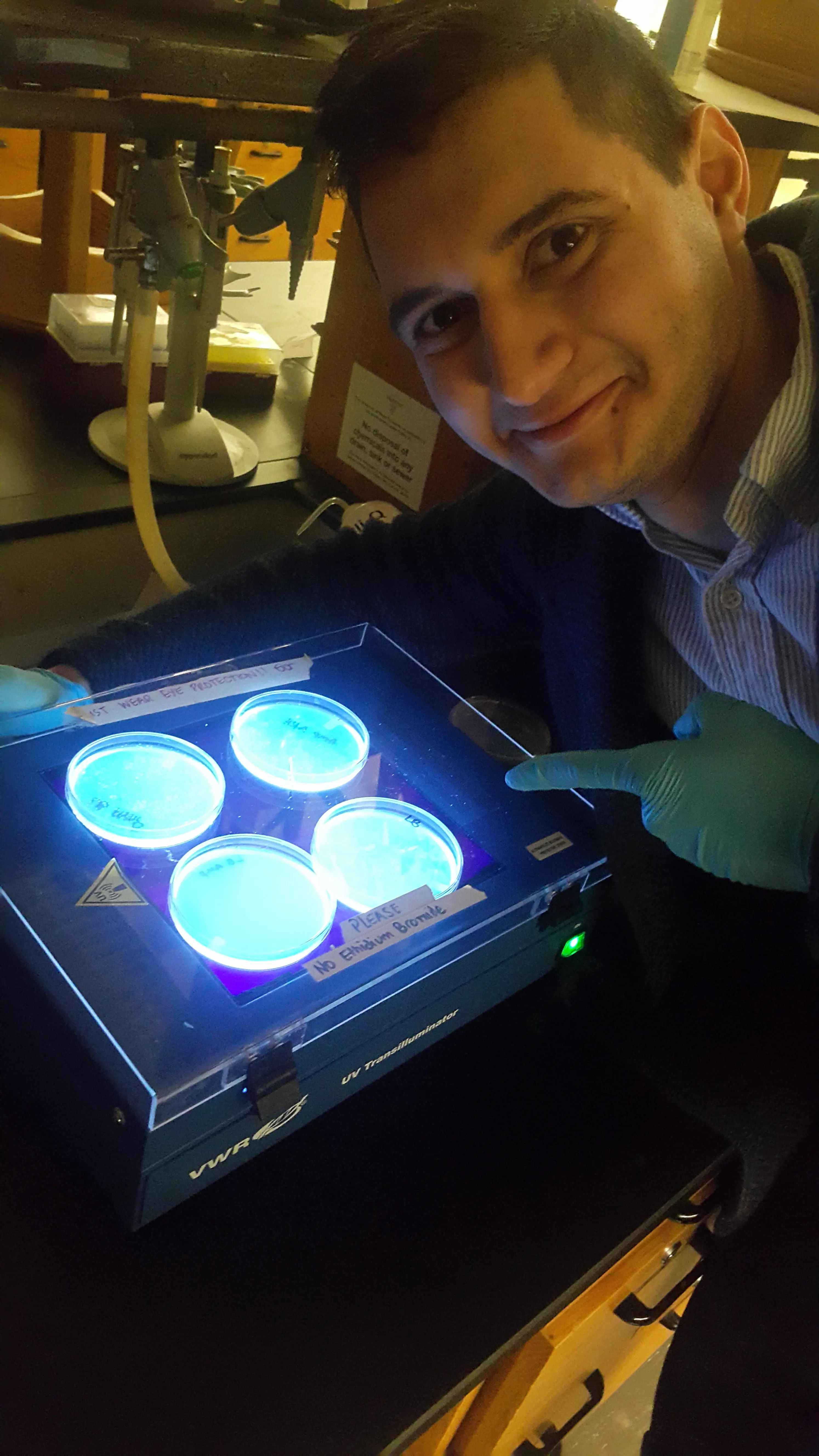 Altering DNA of bacteria with light emitting jellyfish proteins